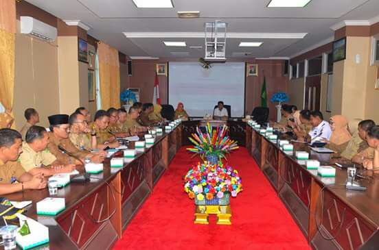 Wan Siswandi Resmi Buka Sosialisasi  PP Nomor 11 tahun 2017