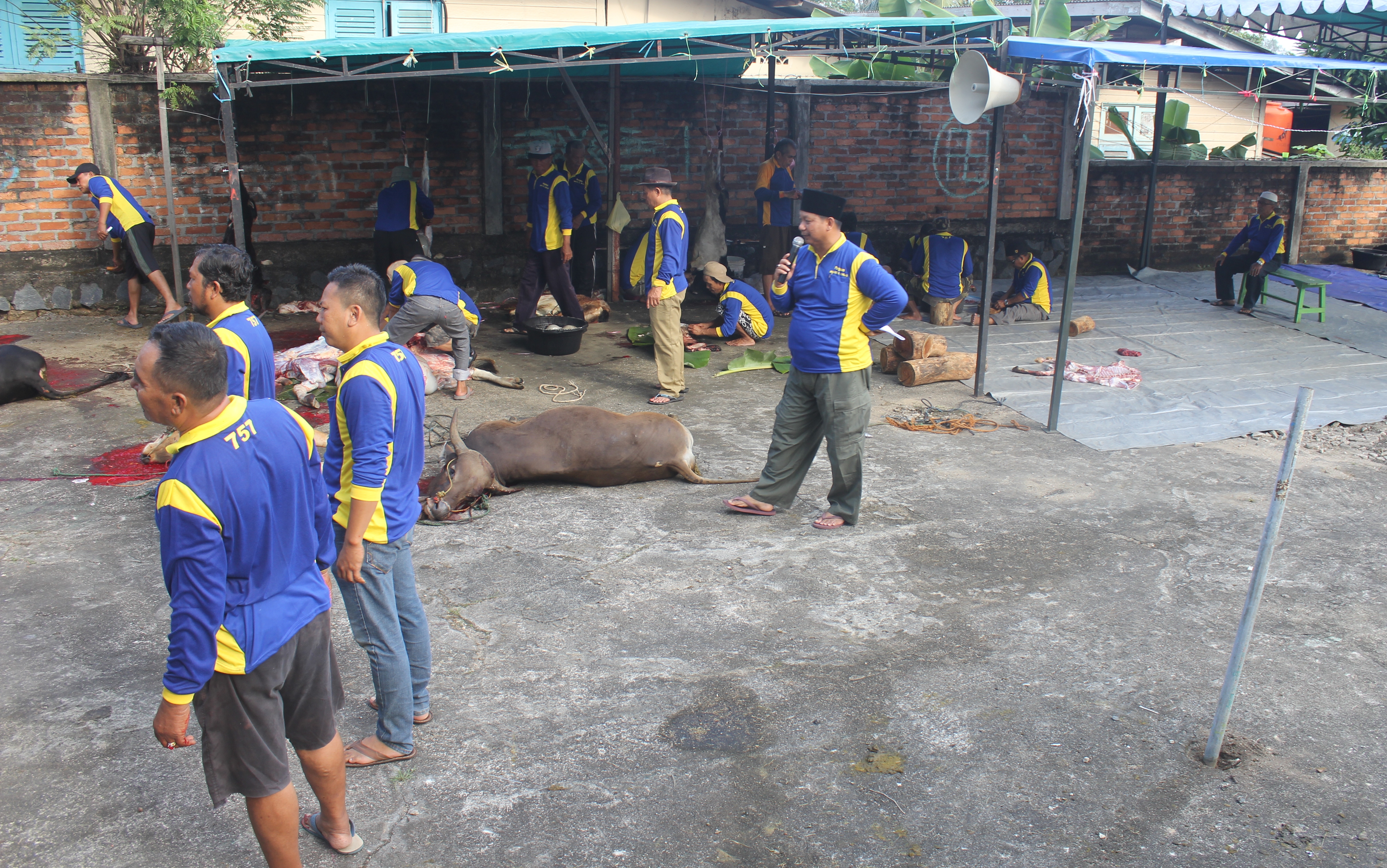Jemaah Mesjid Al Ikhlas Laksanakan Penyembelihan 12 Ekor Hewan Qurban