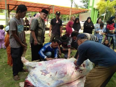 Dalmasri Syam Wakil Bupati Bintan Resmi Buka Penyembilan Hewan Qurban