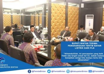 Bupati Bintan Terima Penghargaan Dari PLN Tanjung Uban
