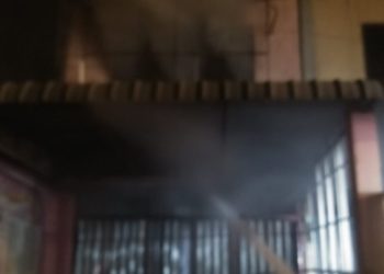 Sijago Merah Mengamuk di Jalan Pramuka Tanjungpinang