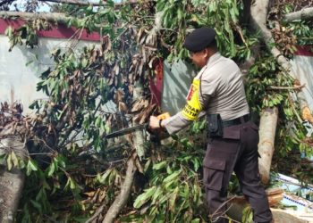 Polres Turut Ambil Bagian Dalam Membantu Membersihkan Rumah Warga Yang Tertimpa Pohon Tumbang