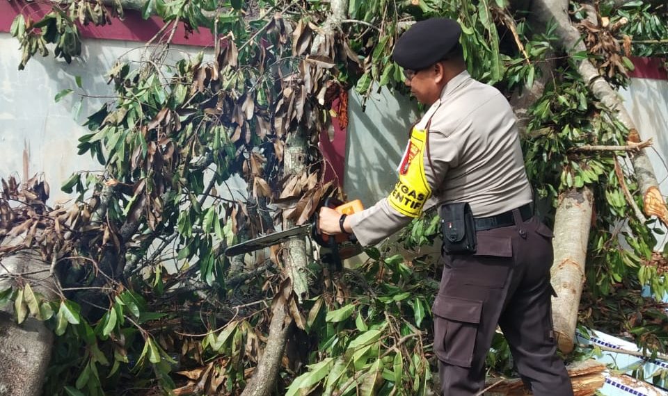 Polres Turut Ambil Bagian Dalam Membantu Membersihkan Rumah Warga Yang Tertimpa Pohon Tumbang