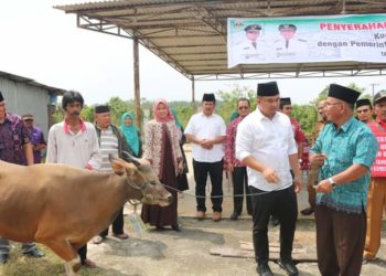 Bupati Dharmasraya Serahkan Hewan Qurban