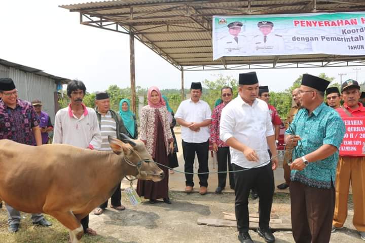 Bupati Dharmasraya Serahkan Hewan Qurban