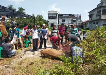 Pengurus PKDP Sembelih 9 Ekor Hewan Qurban Usai Shalat Iduladha.