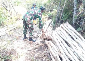 Kodim Bintan 0315 Sosilisasi Upaya Mencegah Kebakaran Hutan. “Temukan Pembalakan Liar”.