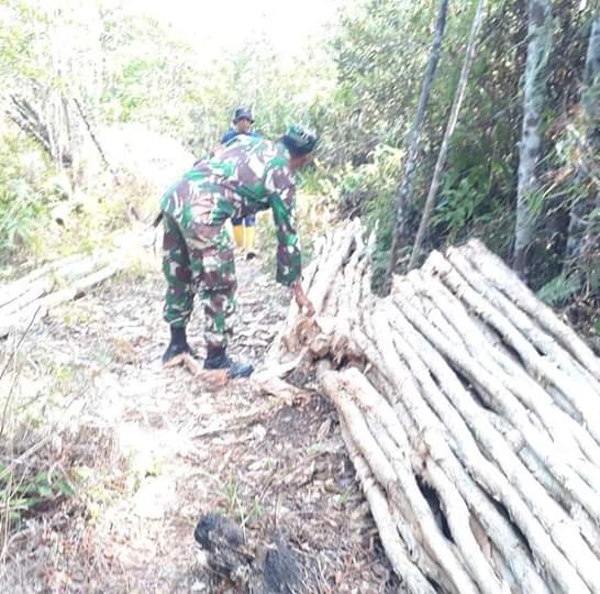 Kodim Bintan 0315 Sosilisasi Upaya Mencegah Kebakaran Hutan. “Temukan Pembalakan Liar”.
