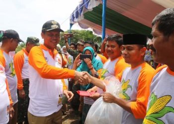 Walikota Pariaman Laksanakan Acara Field Day Tanaman