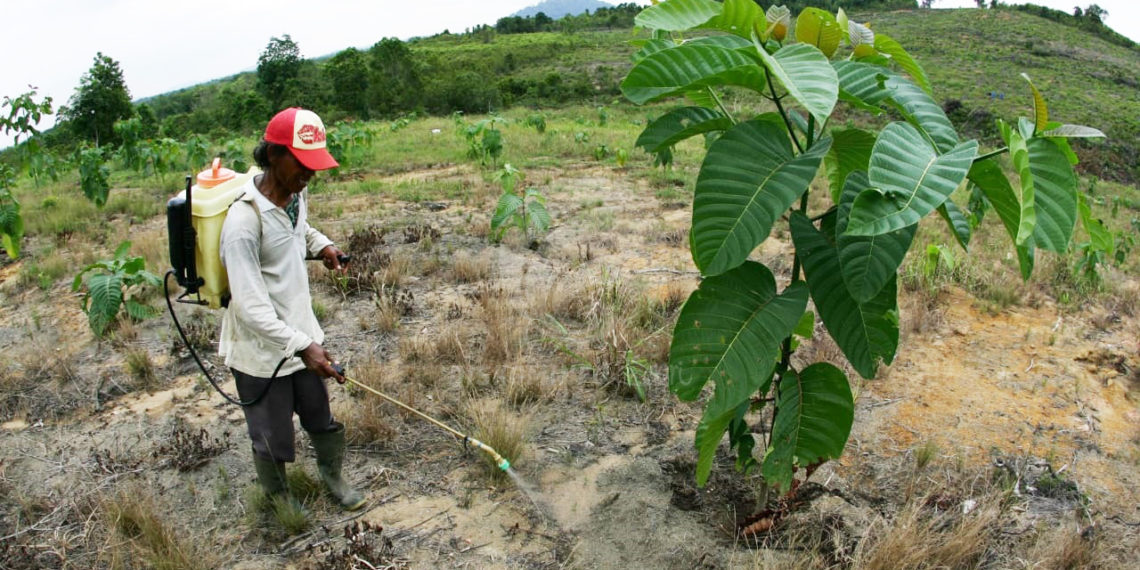 Pemprov Kepri Terus Kembangkan Tiga Potensi PAD