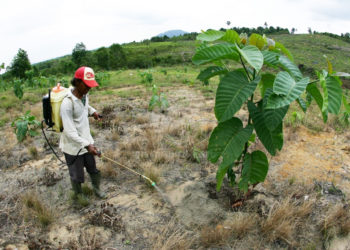 Pemprov Kepri Terus Kembangkan Tiga Potensi PAD
