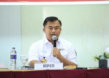 LANJUTAN FESTIVAL PAMALAYU DHARMASRAYA