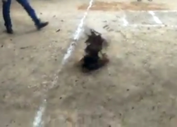 Kapolsek Bintan Timur. Jika ada laporan “Judi” dari masyarakat Akan ditindak Lanjuti.