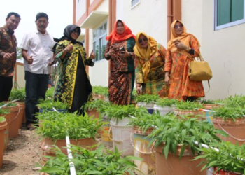 Pemko Tanjungpinang Targetkan Raih Kota Sehat Swasti Saba Wiwerda