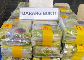 Penyeludupan Sabu 47 Gk Dari Malaysia, Berhasil Diggalkan TIM F1QR Lanal Batam 