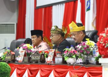 Lis Darmansah Pimpin Rapatparipurna Istimewa Dalam Memperingati Hari Jadi Provinsi Kepri ke 17