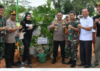 Danlantamal IV Hadiri Acara Penanaman Sejuta Pohon di