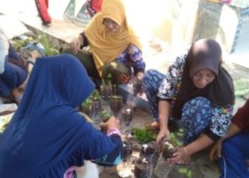 Menuju Penilaian Adiwiyata Tahun 2020 Kepsek Zuriyati Harapkan Kerjasama Semua Pihak