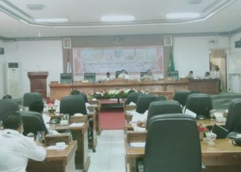 Terungkap Alhamdulillah di Natuna Masih Nol PDP Covid-19