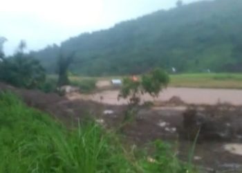 Puluhan Hettar Sawah Di Desa Pauh Akan Gagal Panen