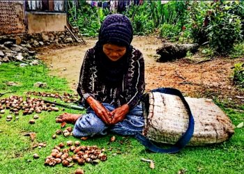 Subhanallah…!! Nenek 60 Tahun Ini Sejak Lahir Belum Pernah Tersentuh Bantuan Pemerintah?