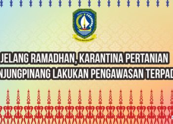 Jelang Ramadhan, Petugas Karantina Pertanian Tanjungpinang Lakukan Pengawasan Terpadu