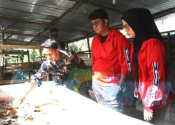 Apri Apresiasi Program Baru Budidaya Maggot Desa Teluk Bakau