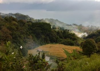 Dampak pandemi covid di hari raya idul fitri 1441H objek pariwisata Agam ditutup