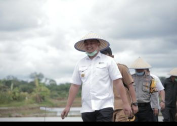 Bupati dan Ketua DPRD Dharmasraya Ikut Menanam Padi memasuki New Normal Baru