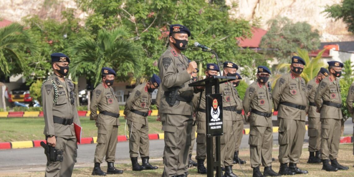 Kapolda Kepri BKO kan 100 Personil Brimob ke Papua