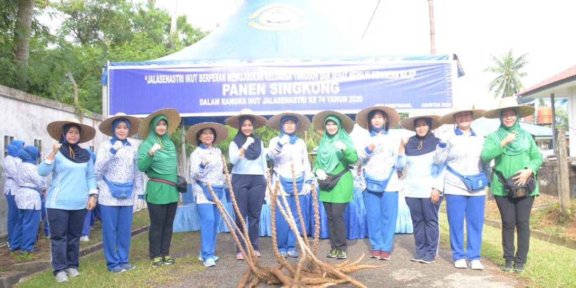 Sambut HUT ke-74 Koarcab IV DJA I, Gelar Panen Singkong & Ikan Nila