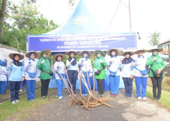 Sambut HUT ke-74 Koarcab IV DJA I, Gelar Panen Singkong & Ikan Nila