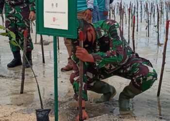Hari Mangrove Sedunia 2020, Dandim 0315/Bintan Budayankan Tanam Magrove di Pantai Trikora V di Bintan.