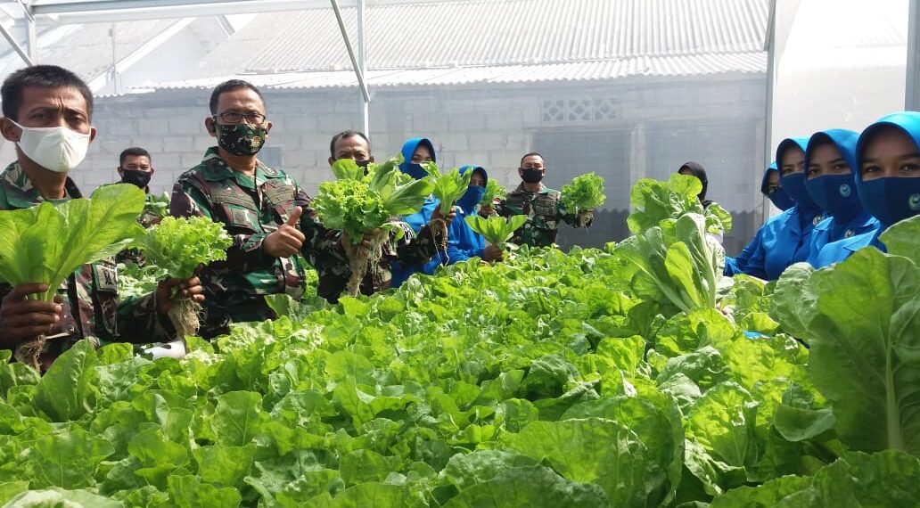 Kasal Melalui Vicon Gelar Panen Raya Ketahanan Pangan