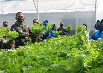 Kasal Melalui Vicon Gelar Panen Raya Ketahanan Pangan