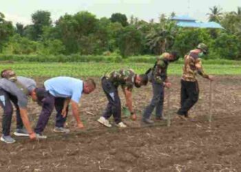 Atasi Ketahanan Pangan, Lanud RSA Natuna Tanam Sayur dan Buat Kolam Ikan