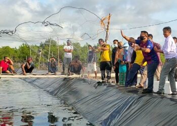 Plt. Bupati Lingga Ikut Panen Perdana Udang Tambak Didesa Tinjul & Resang