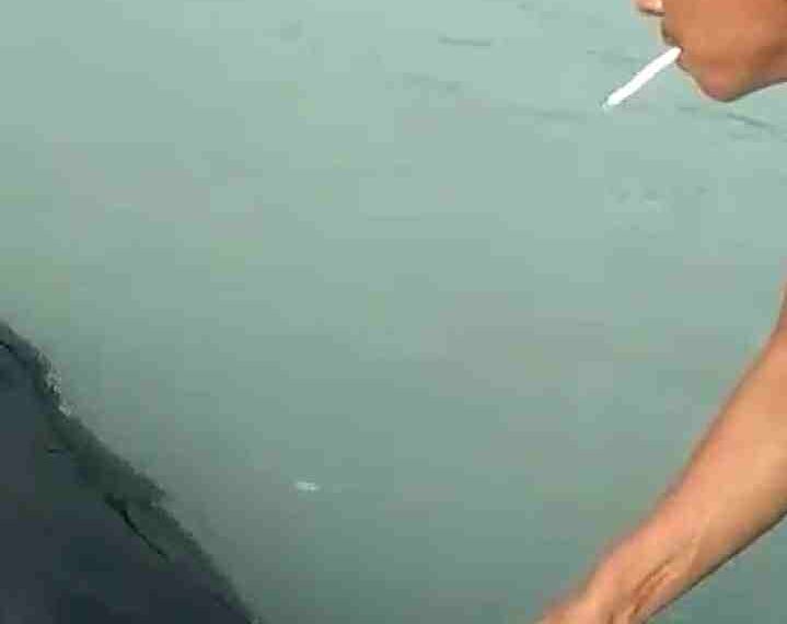 Anggota Rapala Natuna Berupaya Selamatkan Lumba lumba Terdampar di Pantai Cemaga