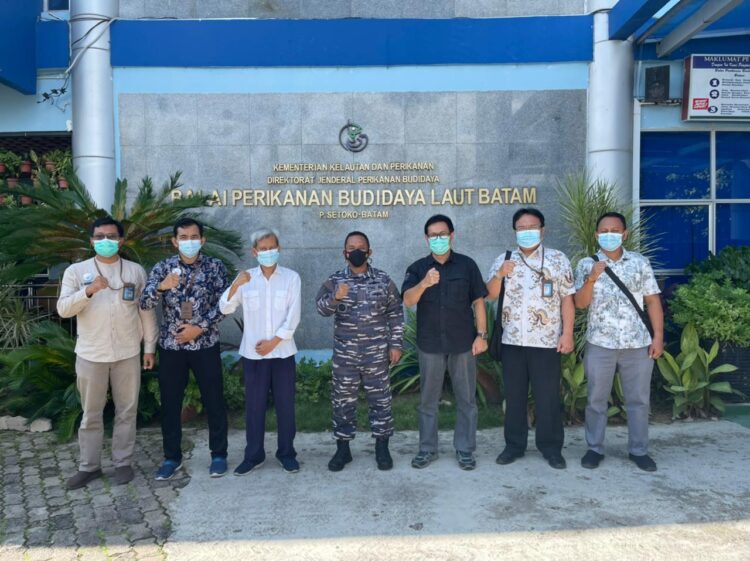 Lanal Batam Kembali Tangkap Penyelundupan Baby Lobster Tujuan Singapura “Nilai Kerugian Negara 4 M lebih”