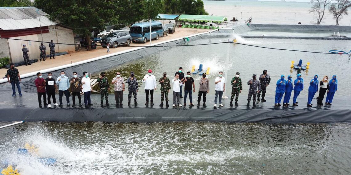 Dukung Ketahanan Pangan, Lanal Batam Tebar 600.000 Benur Udang