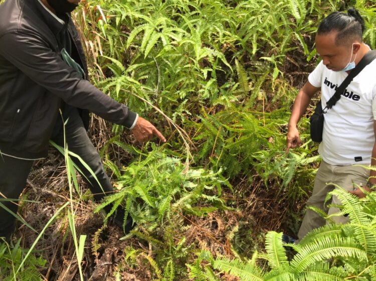 Seorang Balita Tiga Hari Hilang Akhirnya Ditemukan