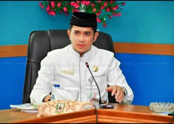PLH Bupati Natuna Hendra Kusuma Harapkan Bantua BLT UKM Dapat Bermanfaat