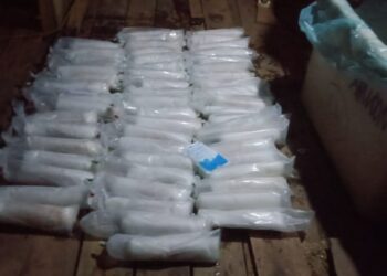 Lanal Batam Kembali Tangkap Penyelundupan Baby Lobster Tujuan Singapura “Nilai Kerugian Negara 4 M lebih”