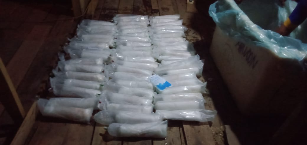 Lanal Batam Kembali Tangkap Penyelundupan Baby Lobster Tujuan Singapura “Nilai Kerugian Negara 4 M lebih”