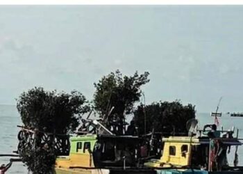 Menunjang Ekonomi Nelayan Tradisional Tempatan Bupati Natuna Janji Akan Buatkan Rumpun Ikan