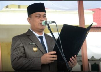 Ratusan THL dan PTT Di Lingga Berhenti, Karena SK Mereka Habis Masa Berlakunya