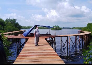 Pasokan Kayu Lancar? Sebentar Lagi Warga Natuna Akan Menikmati Wisata Mangrove di Bandarsyah