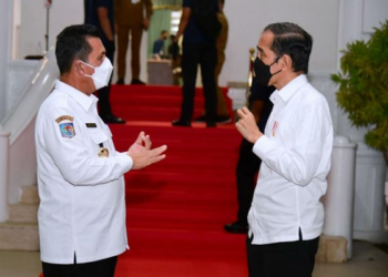 Presiden Jokowi Terkait Jembatan Babin Dinilai Sangat Resposif