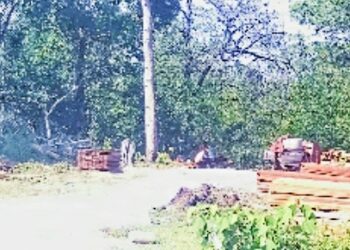 Alhamdulillah di Natuna Masyarakat Tidak Susah Mencari Kayu Untuk Pembangunan