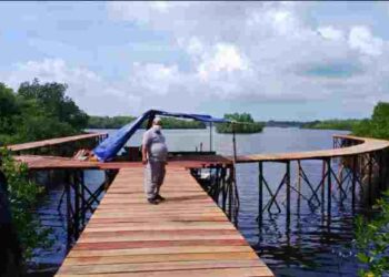 Tri Susilo Pastikan Pengambilan Kayu di Natuna Secara Ilegal. Apakah Proyek Wisata Mangrove Pering Gunakan Kayu Ilegal?